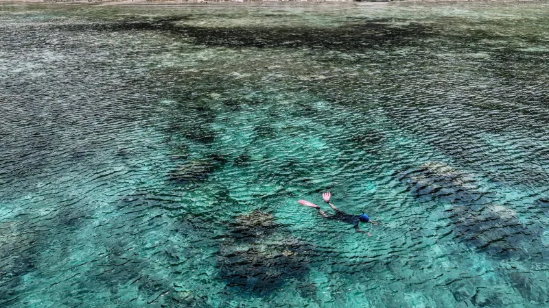 Debaixo d'Água Tem Mundo: O Guia Definitivo de Snorkel e Mergulho em Porto Caraíva